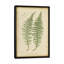 «Lastrea Filix», impression sur toile-31847645-73200299-73200300