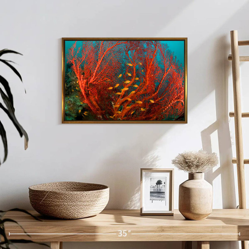 Corail de feu, 19 po x 13 po, Cadre flottant doré