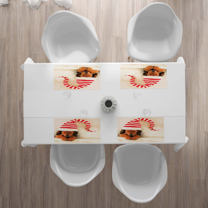 Récapitulatif 18,5" teckel