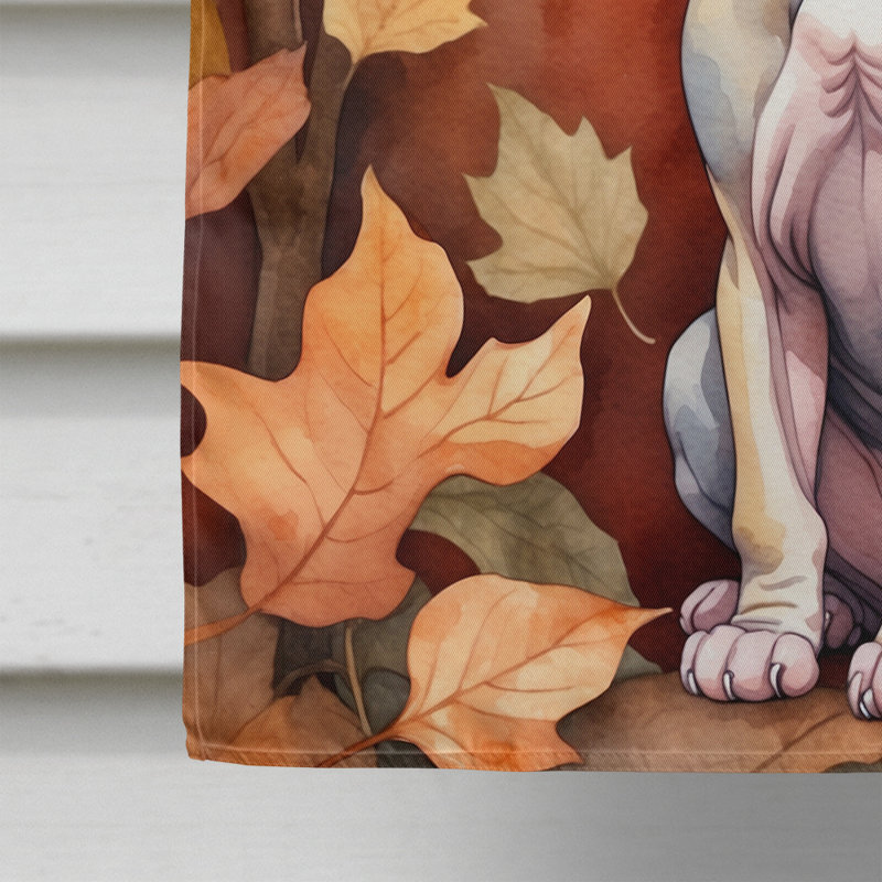 Chat en feuilles d'automne, Minskin