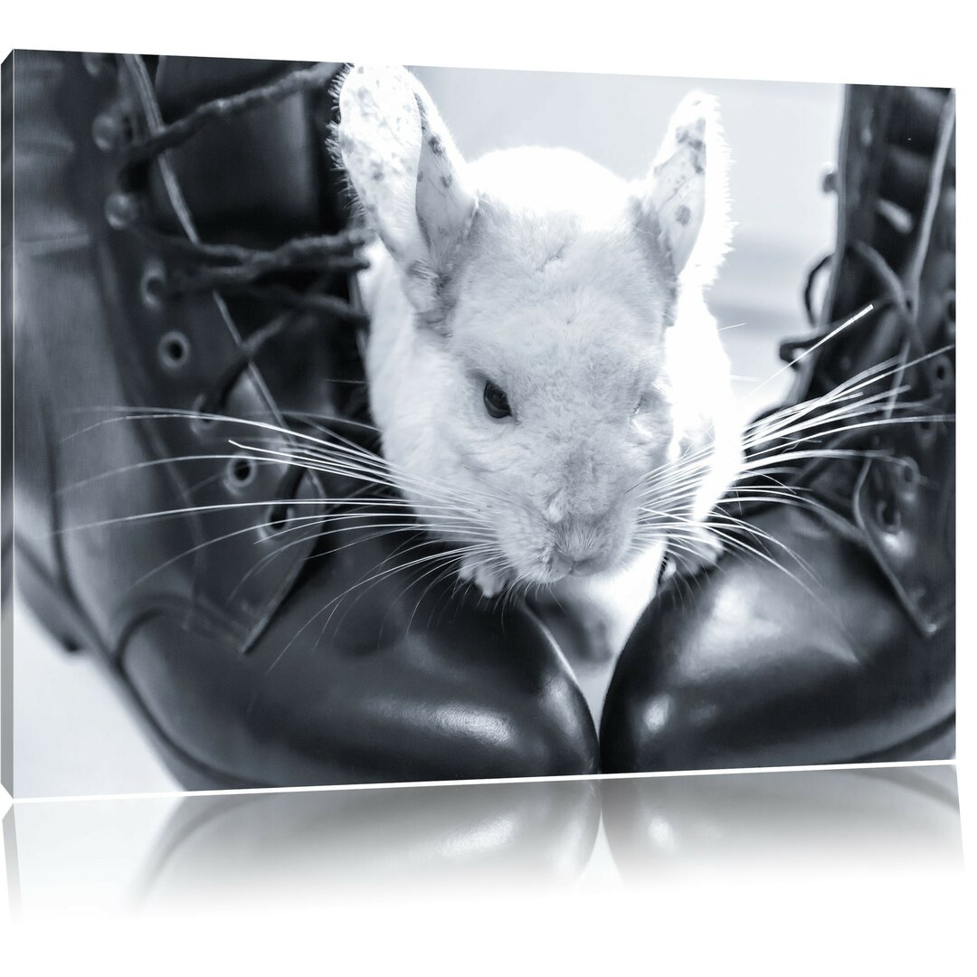 Leinwandbild Chinchilla zwischen Schuhen