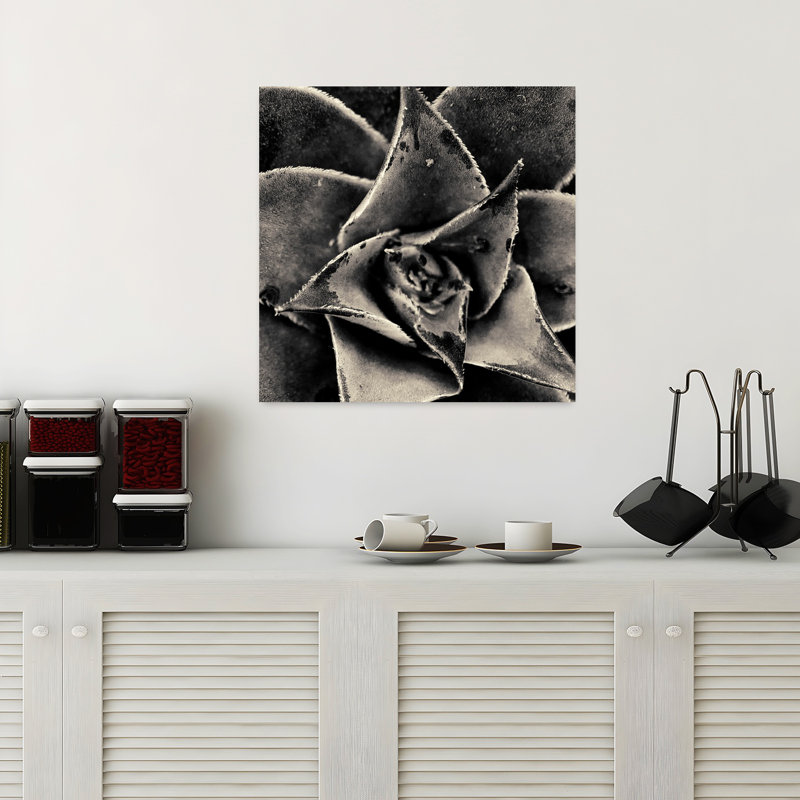 Seattle Succulents, art succulent contemporain, H 18 po x l 18 po