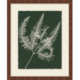 Leaf Impressions 6 Print