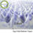 2" Reversing Purple Gel Memory Foam Mattress Topper with waterproof mattress  protector-96346561