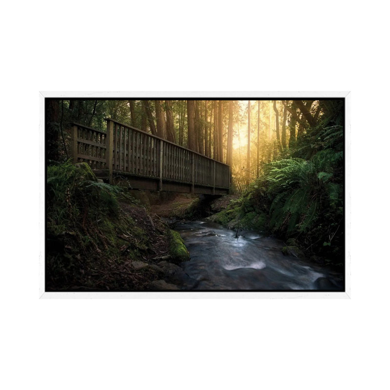 Cascade by Steve Berkley - Gallery-Wrapped Canvas Giclée on Canvas, 66.04 cm H x 45.72 cm W, White Framed