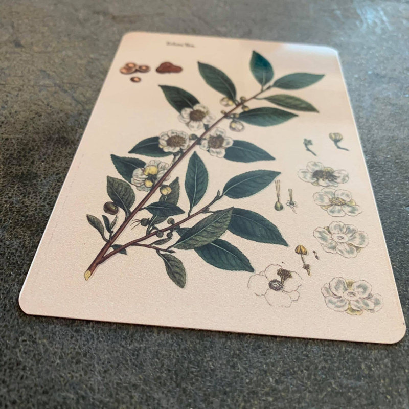 No Frame Print on Metal, 25cm H x 20cm W