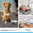 Marmoleum Cinch Loc Seal 11.81” x 11.81” x 9.8mm Laminate Flooring-107511398