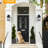 Dusk to Dawn Motion Sensor Outdoor Wall Lantern with Black Finish