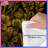 Golden Birds Botanical Comforter-128002725