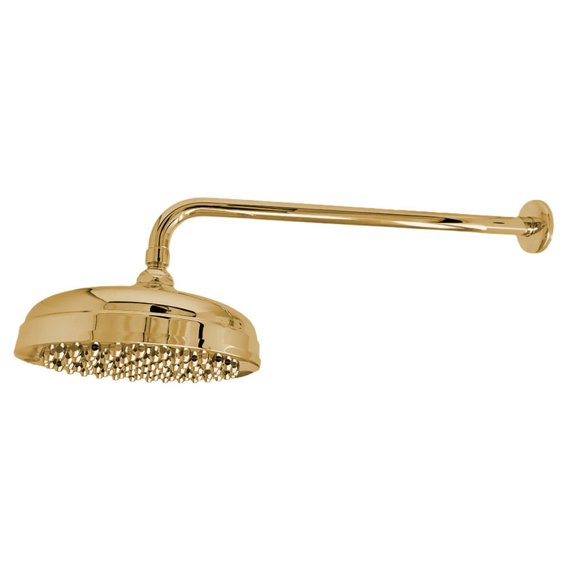 8" Shower Head with 16" Straight Arm & Escutcheon, Unlacquered Satin Brass