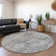 Premium Machine Washable Prisco Silver Rug