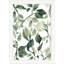 Watercolor Foliage 4 Print by Nathan Turner