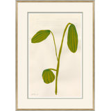 Fruity II Giclee Print by Susan Hable
