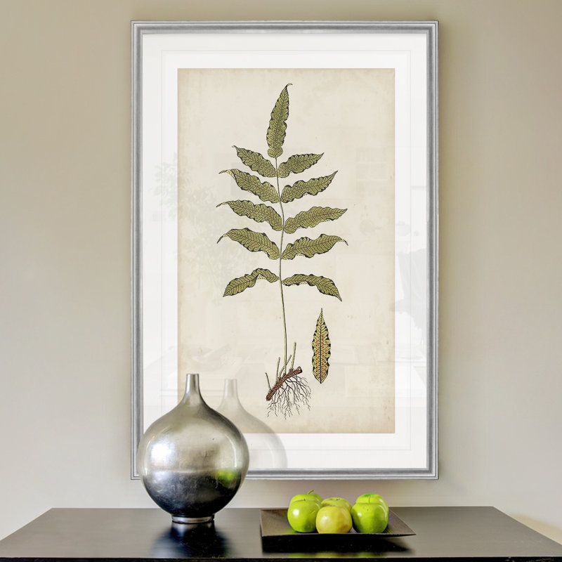 « palm botanique iii »-impression sur toile, H 22,5 po x l 30,5 po x P 1,5 po, Cadre argenté