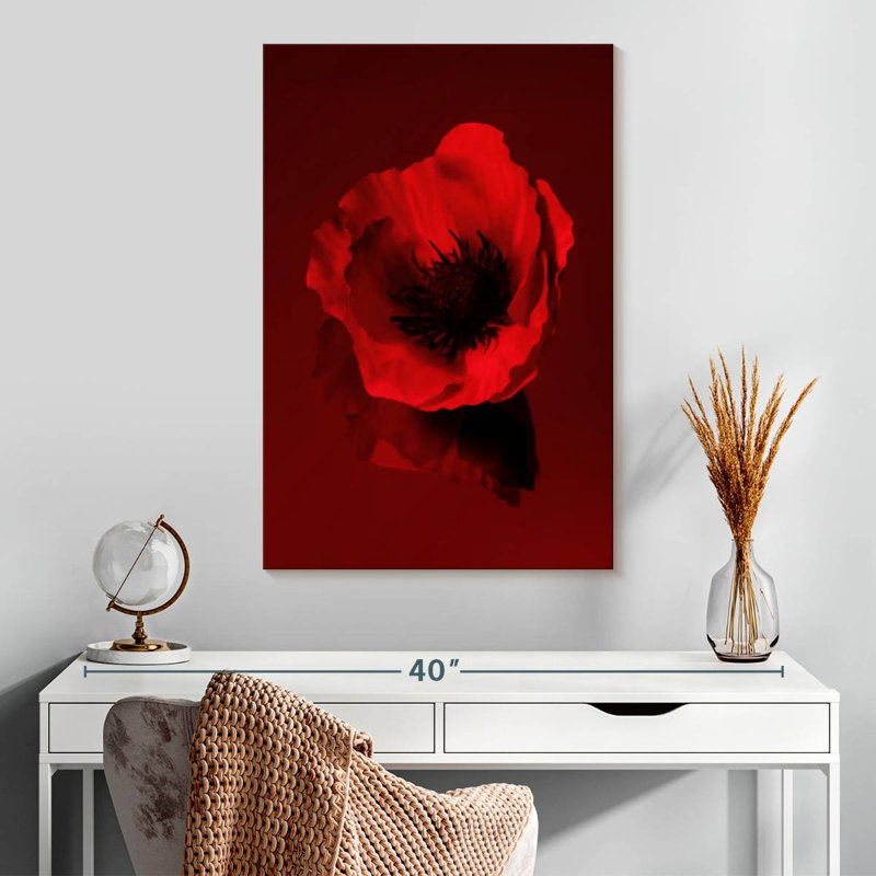 Dark Red Poppy, 30" H x 20" W