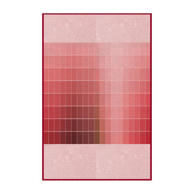 Indoor Rug