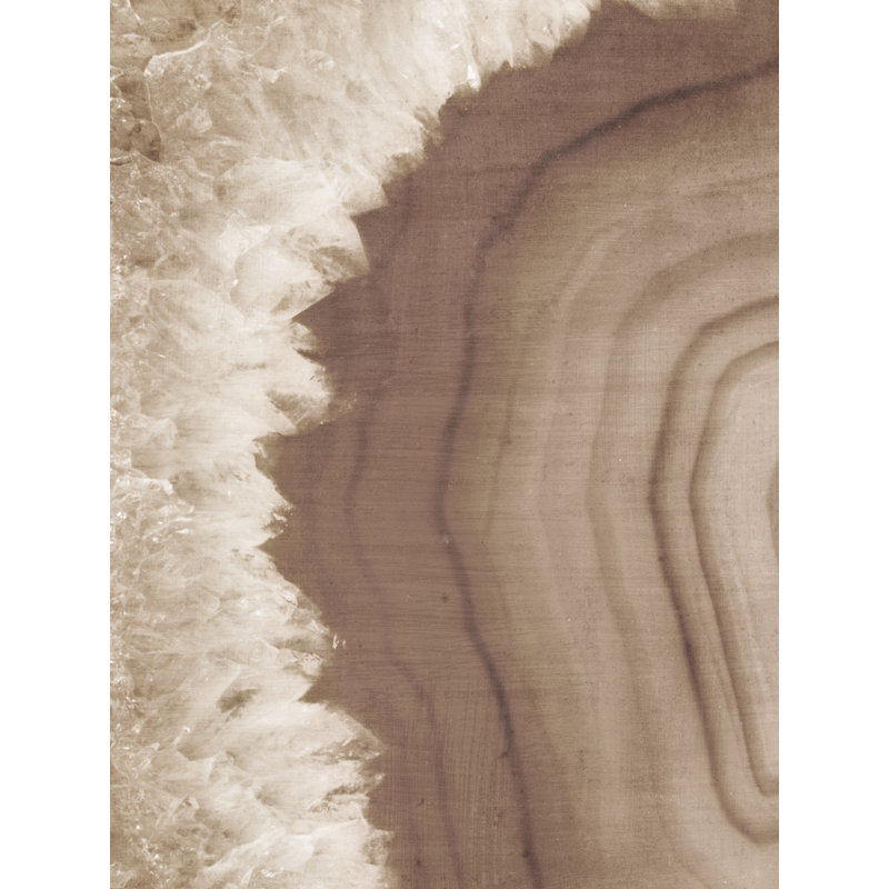 «Warm Agate Geode I», reproduction sur toile tendue, H 16 po x l 12 po