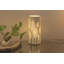 Tiptonville Novelty Lamp