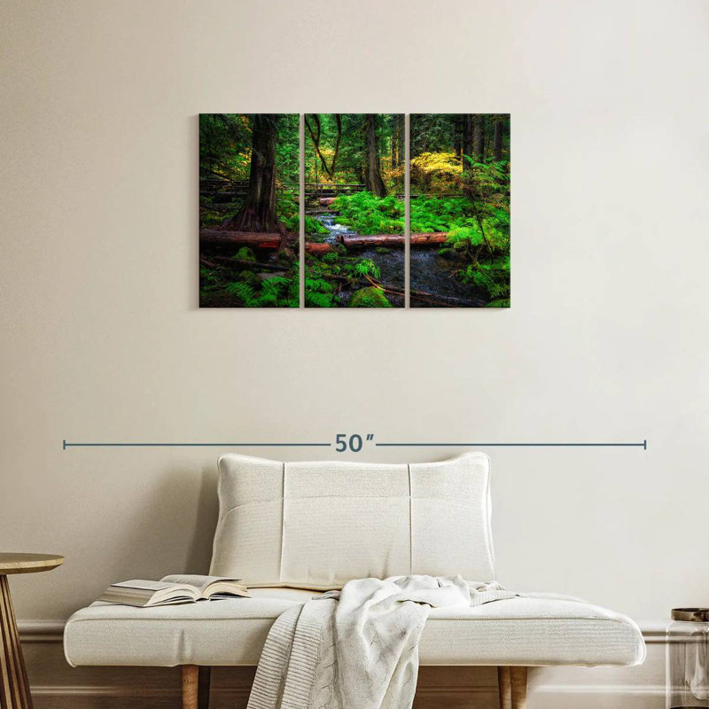 Ruisseau Alvord Willamette National Forest, H 20 po x l 33 po