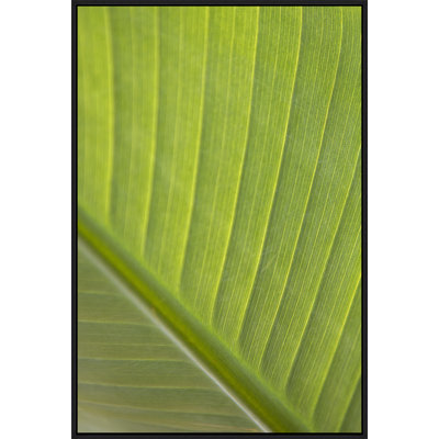 Verde Delicato Print by Karyn Millet