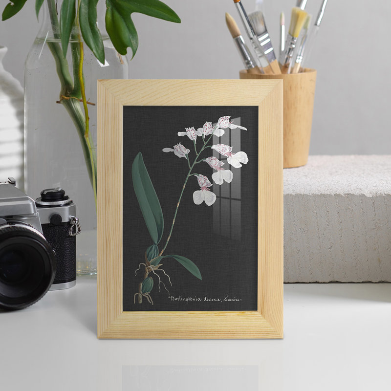Orchidée sur ardoise VI - impression d'un seul cadre photo, H 6 po x l 4 po x P 1 po, Naturel