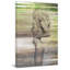 Parvez Taj - Wrapped Canvas Painting-15883852