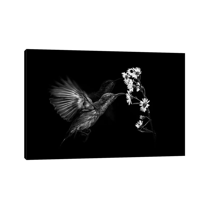 Motion by Andi Halil - Wrapped Canvas Print, 101.6 cm H x 66.04 cm W x 1.91 cm D