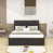 Dark Gray selected