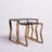 Xander Glass Top Nesting Tables-910043352