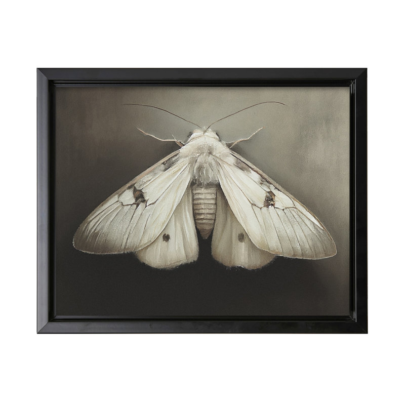 Papillon de nuit, Cadre noir, Canevas, H 11 po x l 14 po