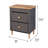 2 -Drawer Accent Chest