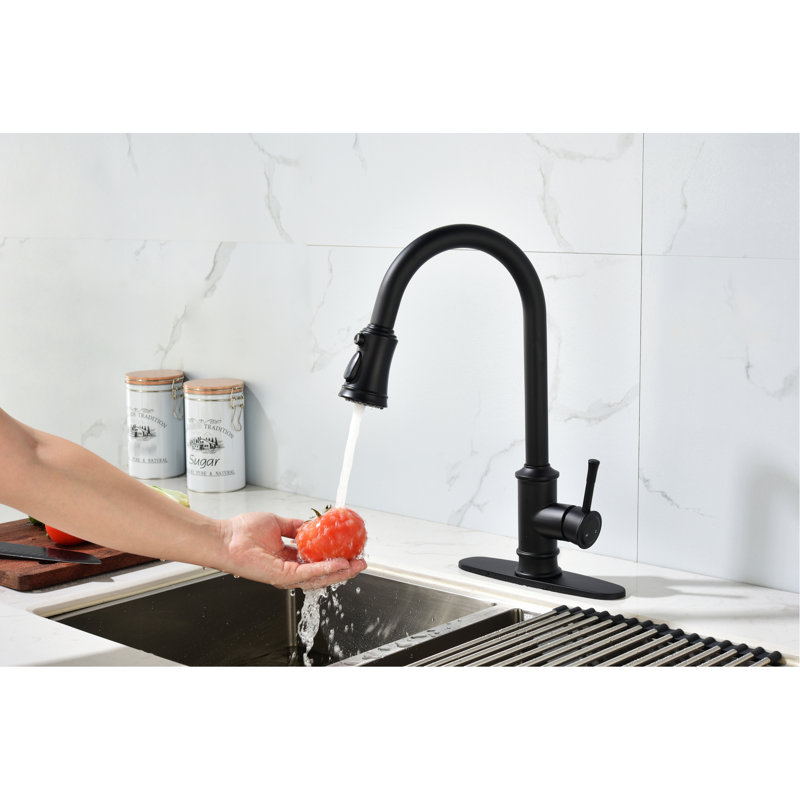 Robinet de cuisine rétractable en acier inoxydable avec finition noir mat et poignée simple pratique