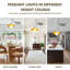 Luminaire suspendu 0 lumière-1847278214-1836431181-1836431180
