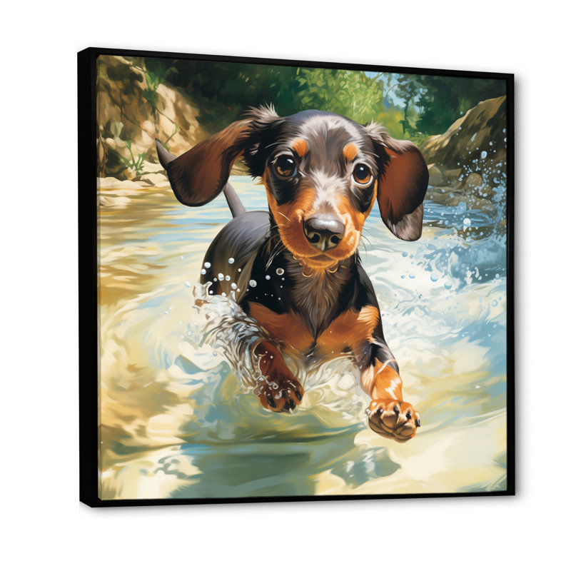 Mignon teckel jouant dans la rivière sur toile, Cadre flottant noir, H 16 po x l 16 po