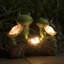 Statue de jardin Bluebelle