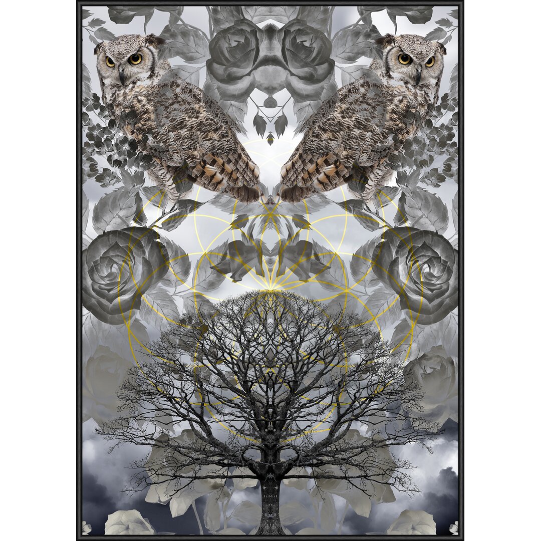 Gerahmtes Poster „Owls“, Grafikdruck