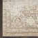 Haydel Oriental Machine Washable Power Loom Polyester Area Rug in Beige
