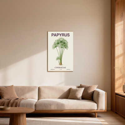 «Plants & Flowers Papyrus Plant», reproduction d'art botanique