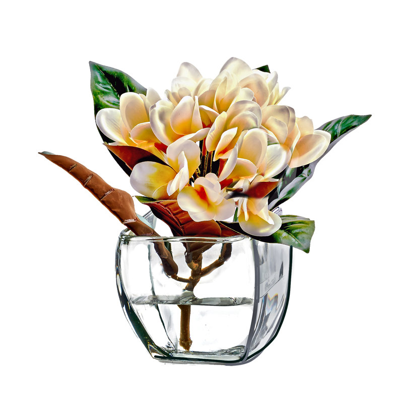 Frangipanier dans un vase biseauté, Cream