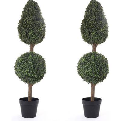 Topiaire en faux pin en pot Bornbridge