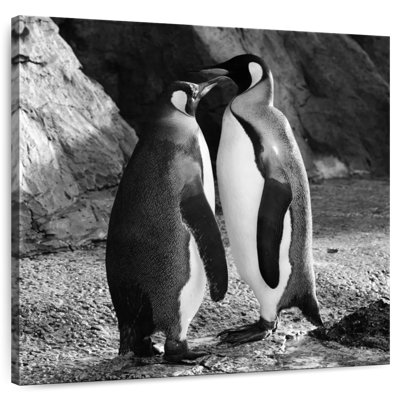 Crowle Penguin Kiss