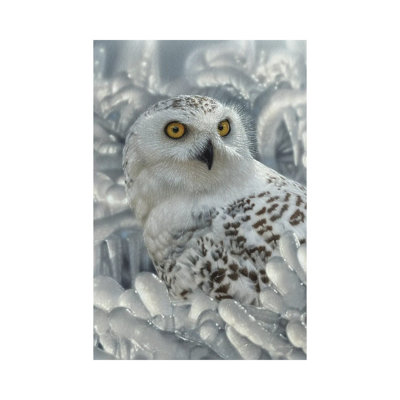 " Snowy Owl Sanctuary - Vertical "