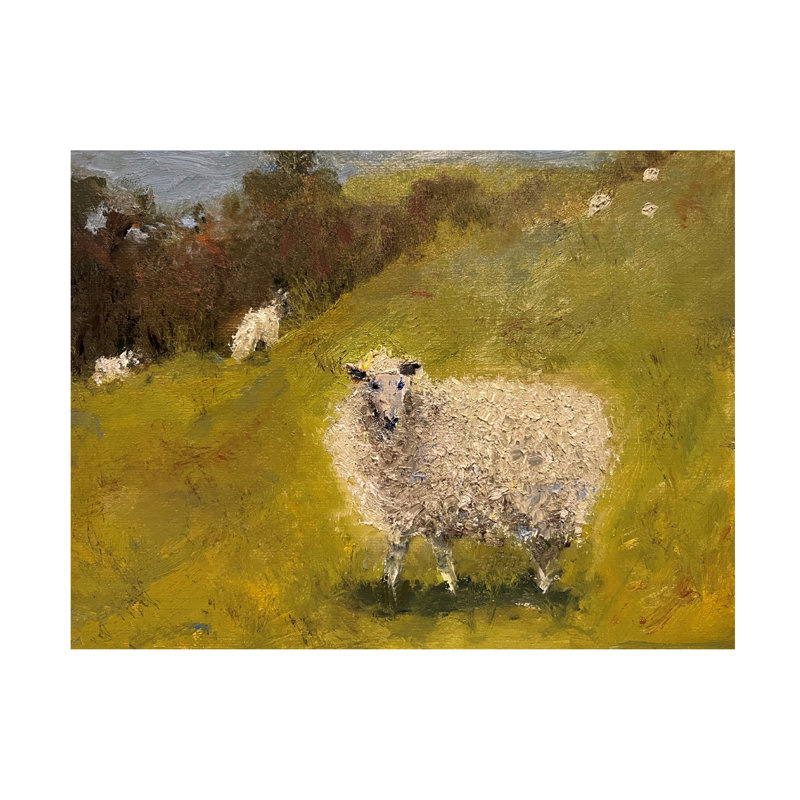 «Sheep In Field III» sur, H 18 po x l 18 po