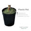 Ficus artificiel en pot 120 po-1543596708