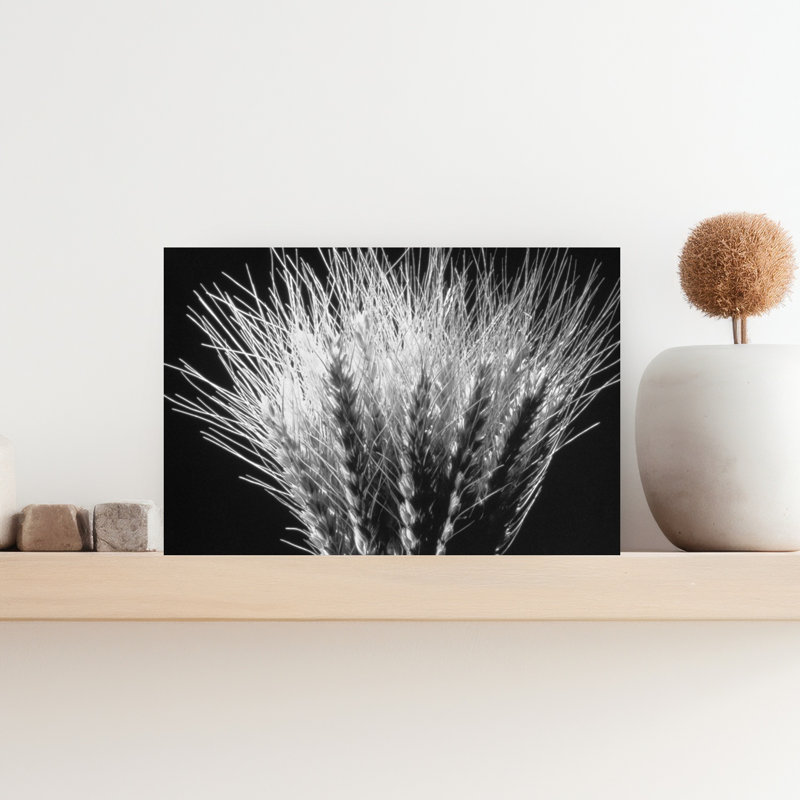 Art mural blanc contemporain en blanc sur fond de blé, H 12 po x l 18 po