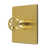 Brushed Brass is out of stock selected