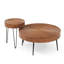 Ensemble de 2 tables basses rondes en bois massif