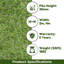 Brizeth 30 mm Kids & Pet-Friendly, Artificial Grass