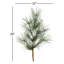 Pham Pine Spray