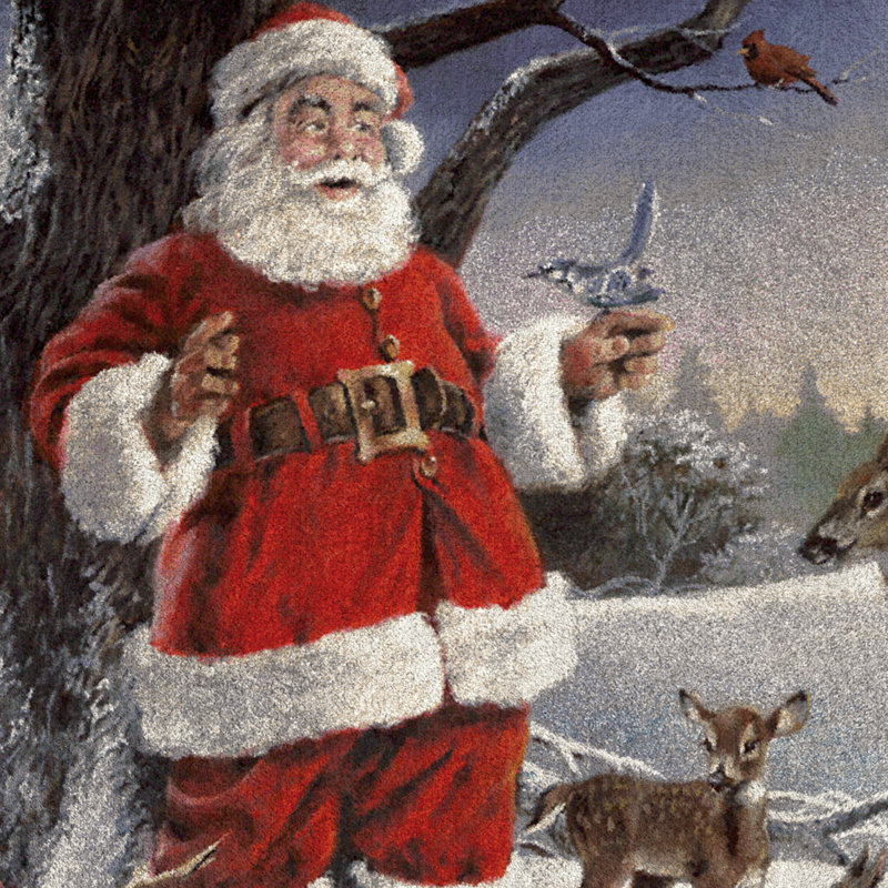 North Burnet Christmas Service Area Rug, Rectangle 2'8" x 3'10"